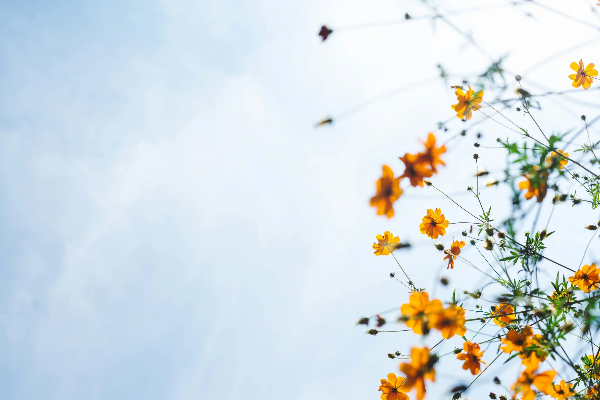 Photo from Unsplash