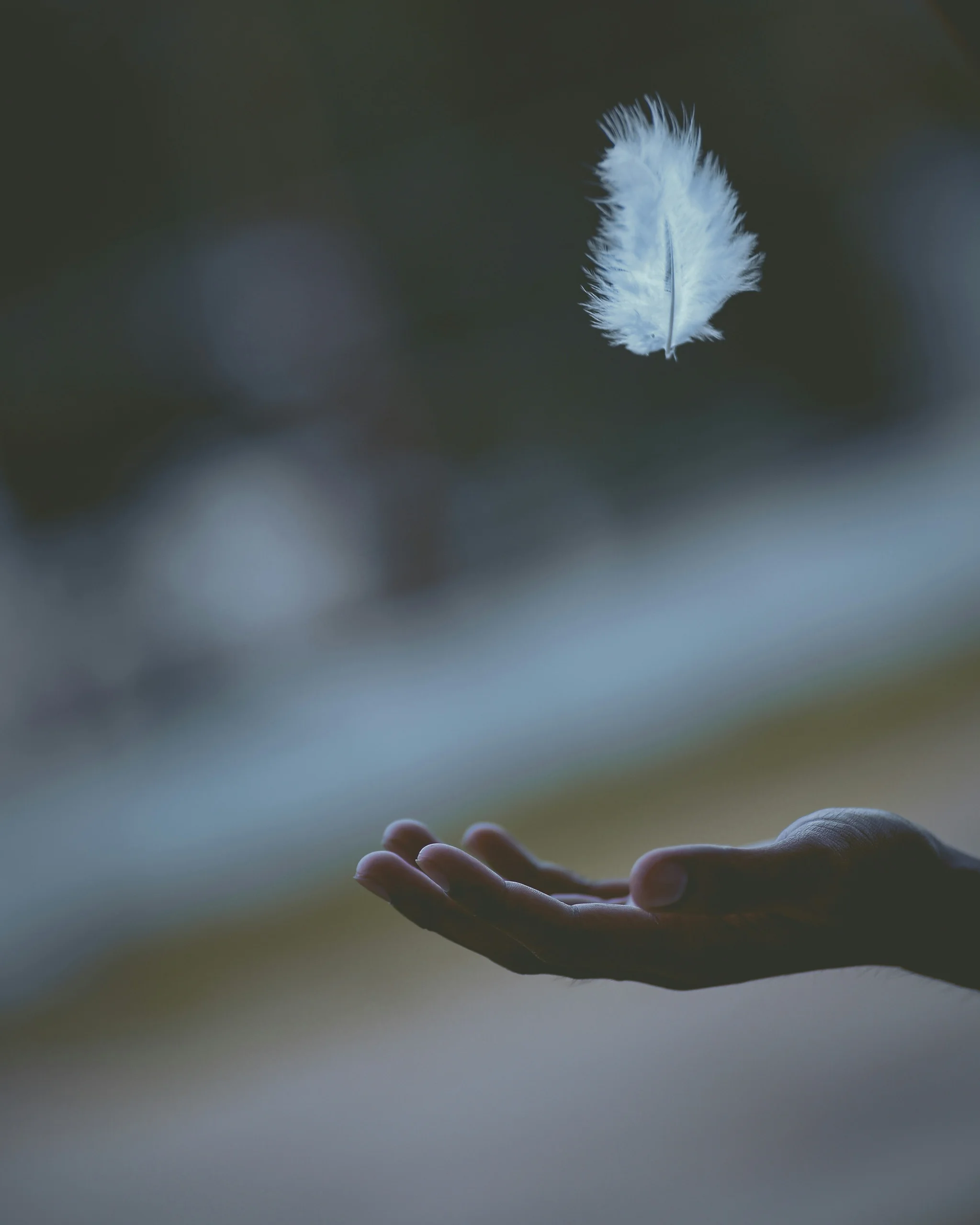 Photo from Unsplash