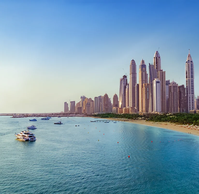 Case Study Main Title