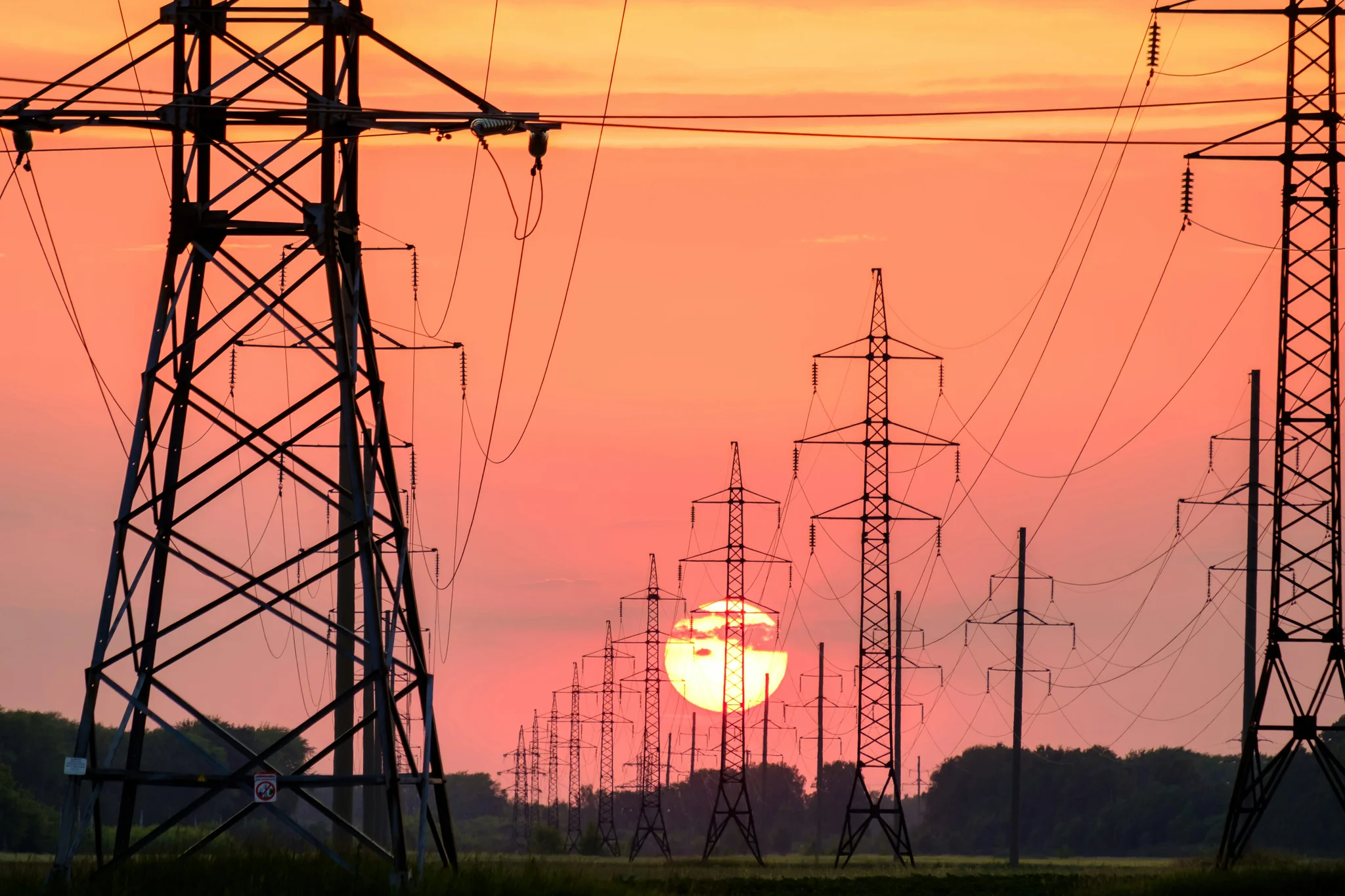 image for Supporting a Sustainable Future