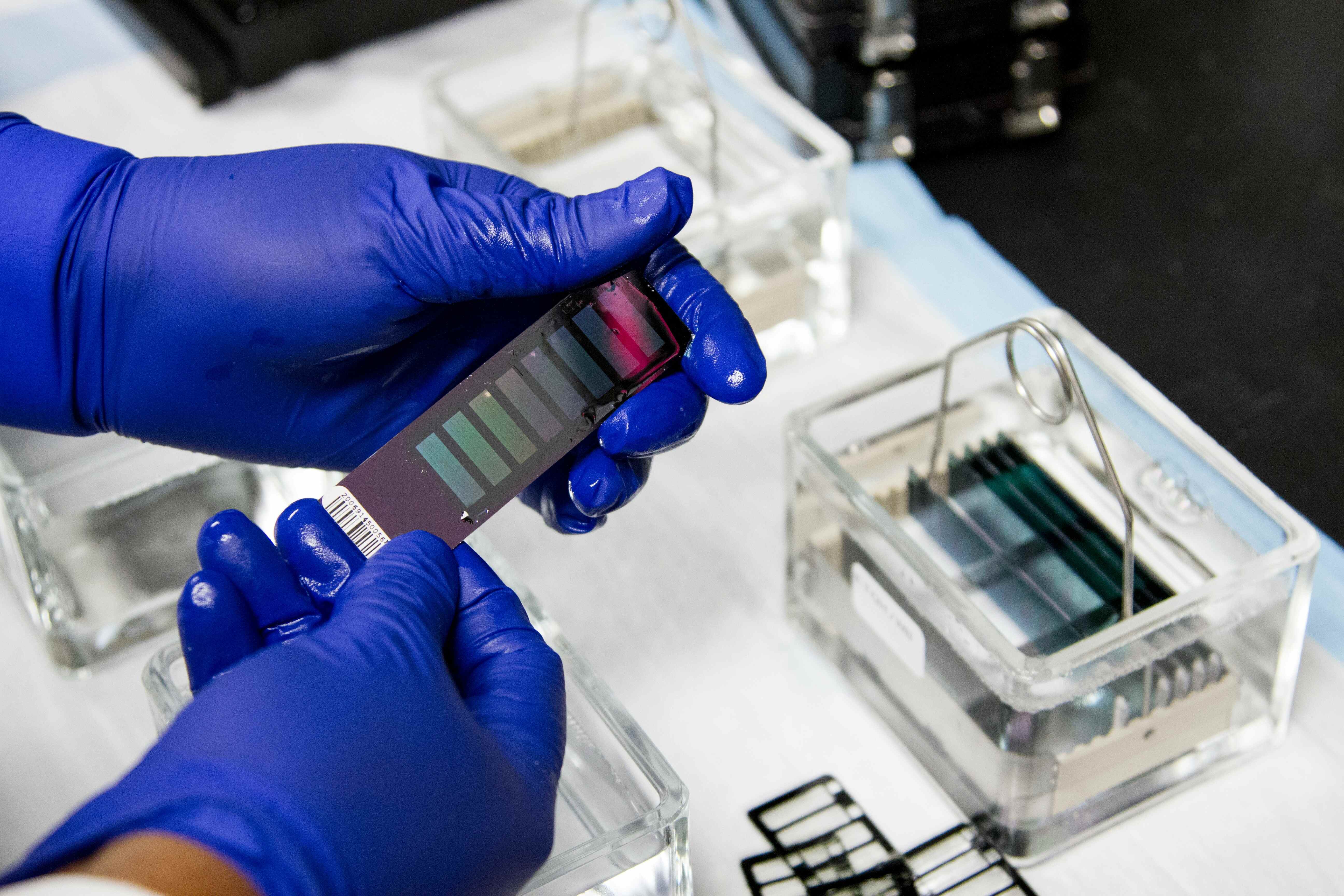 What are the Top 5 Medical Device Jobs?