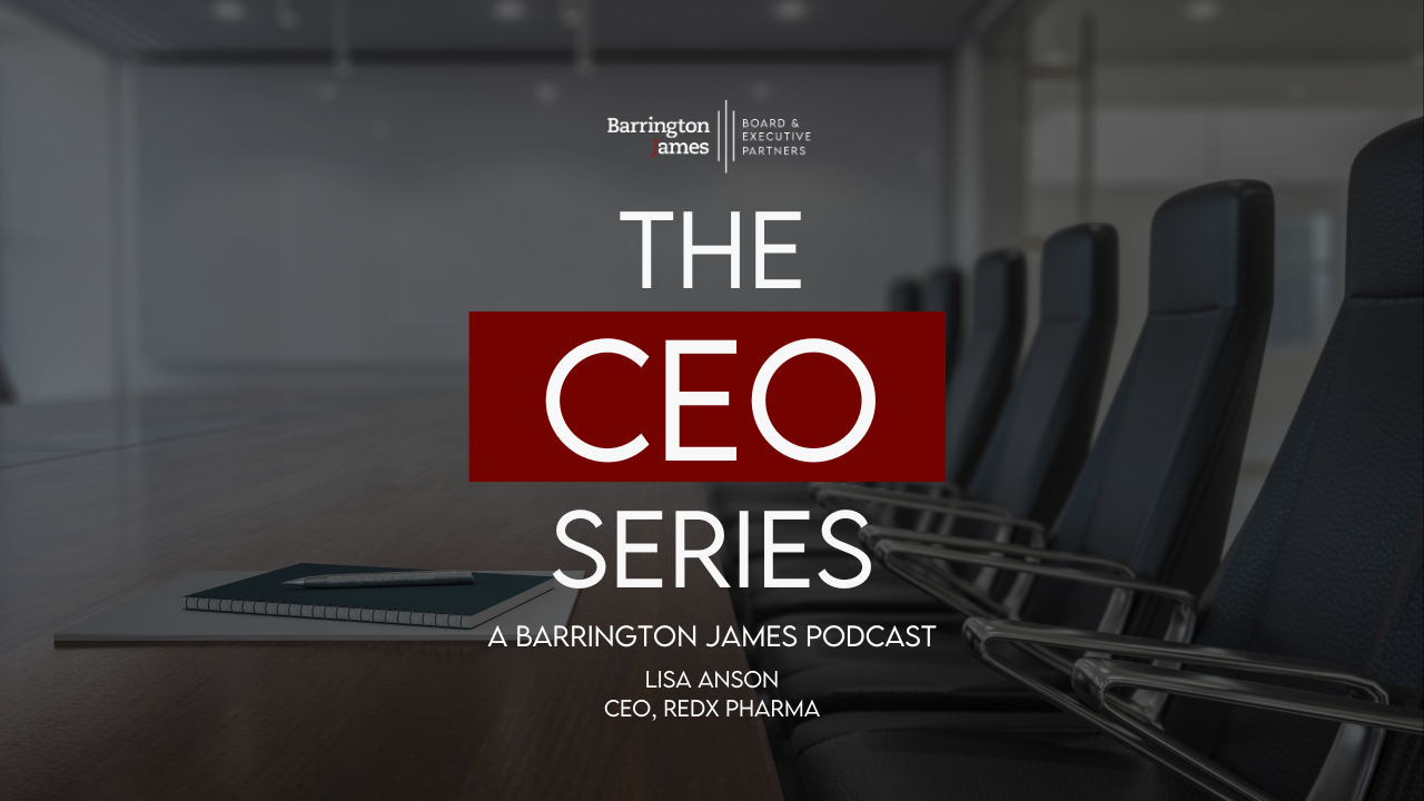 The CEO Series with Lisa Anson