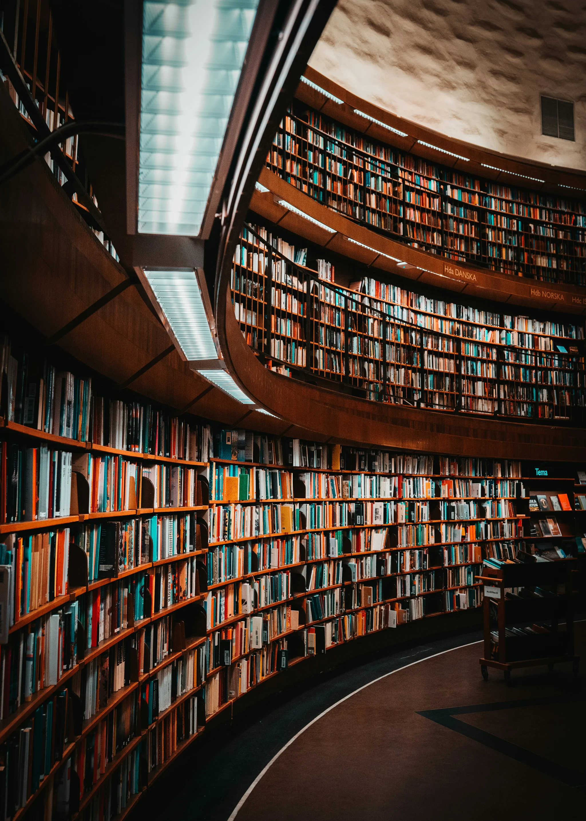 Photo from Unsplash