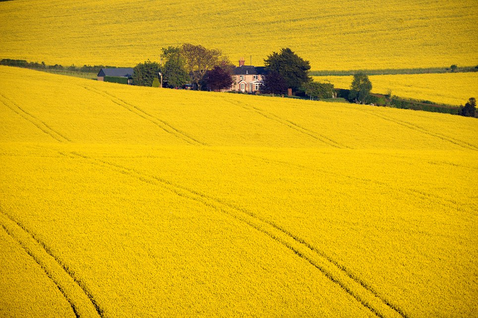 Sustainable Crop Protection: What does the future hold?