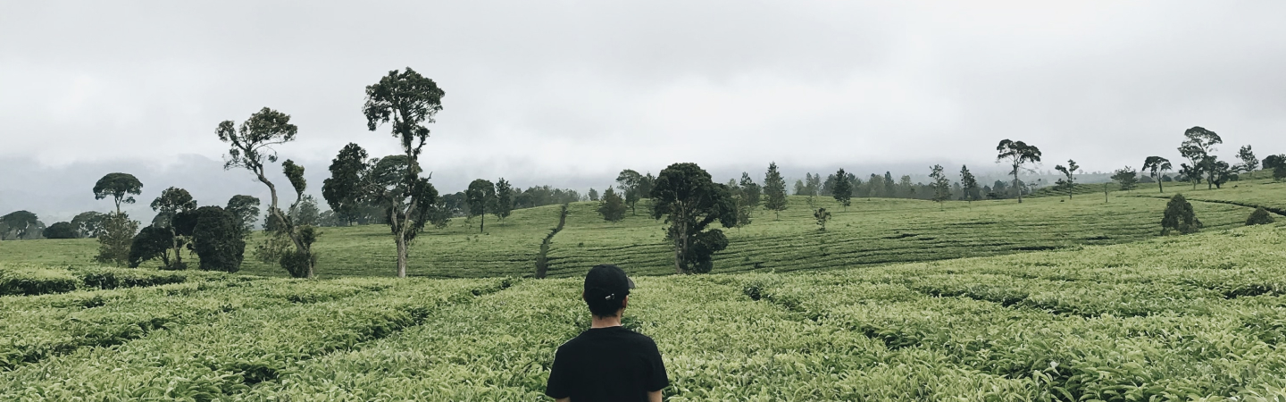 Cultivating conversations with...Yasir Khokhar, Connecterra