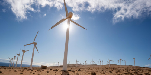 The Inflation Reduction Act of 2022: A Mixed Bag for the Renewable Energy Industry