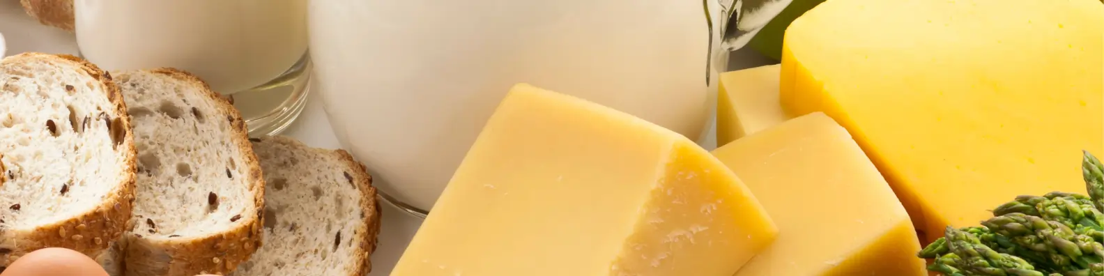 Shaping the Future of Cheese: How Talent Is Driving the Industry