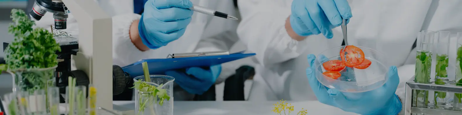 How GLP-1 Weight Loss Drugs Are Reshaping Food Formulation and R&D Hiring