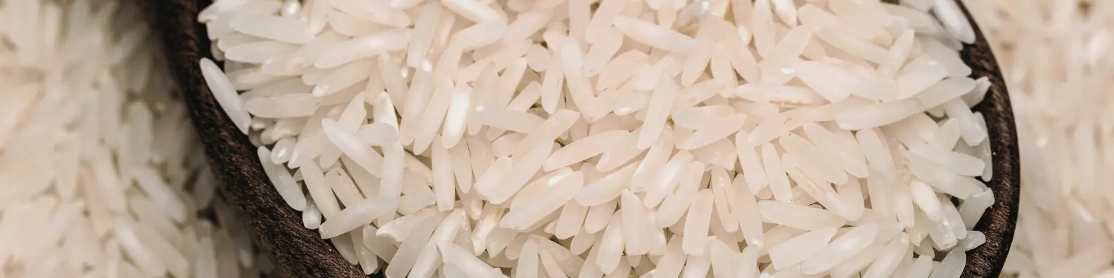 Riviana Foods: Enabling Manufacturing Expansion Through Specialist Executive Search