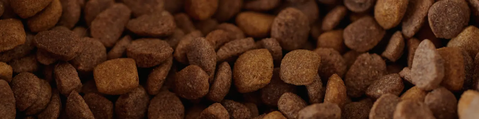 AFB International: Securing Specialist Scientific Talent in Pet Food Palatability