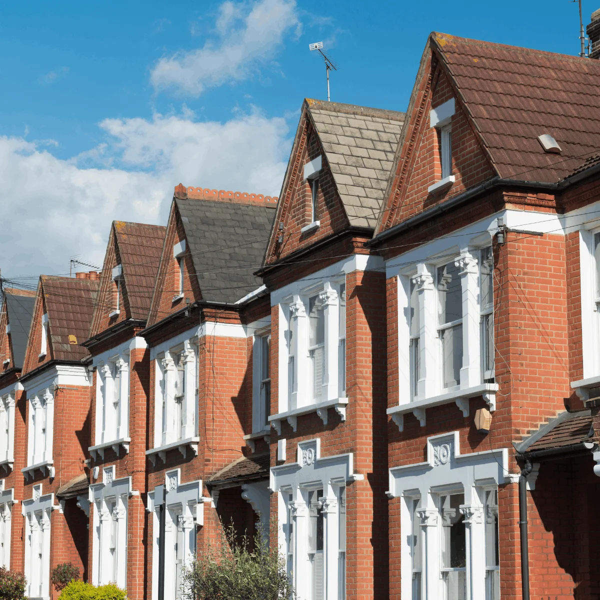 Meeting Merger Momentum