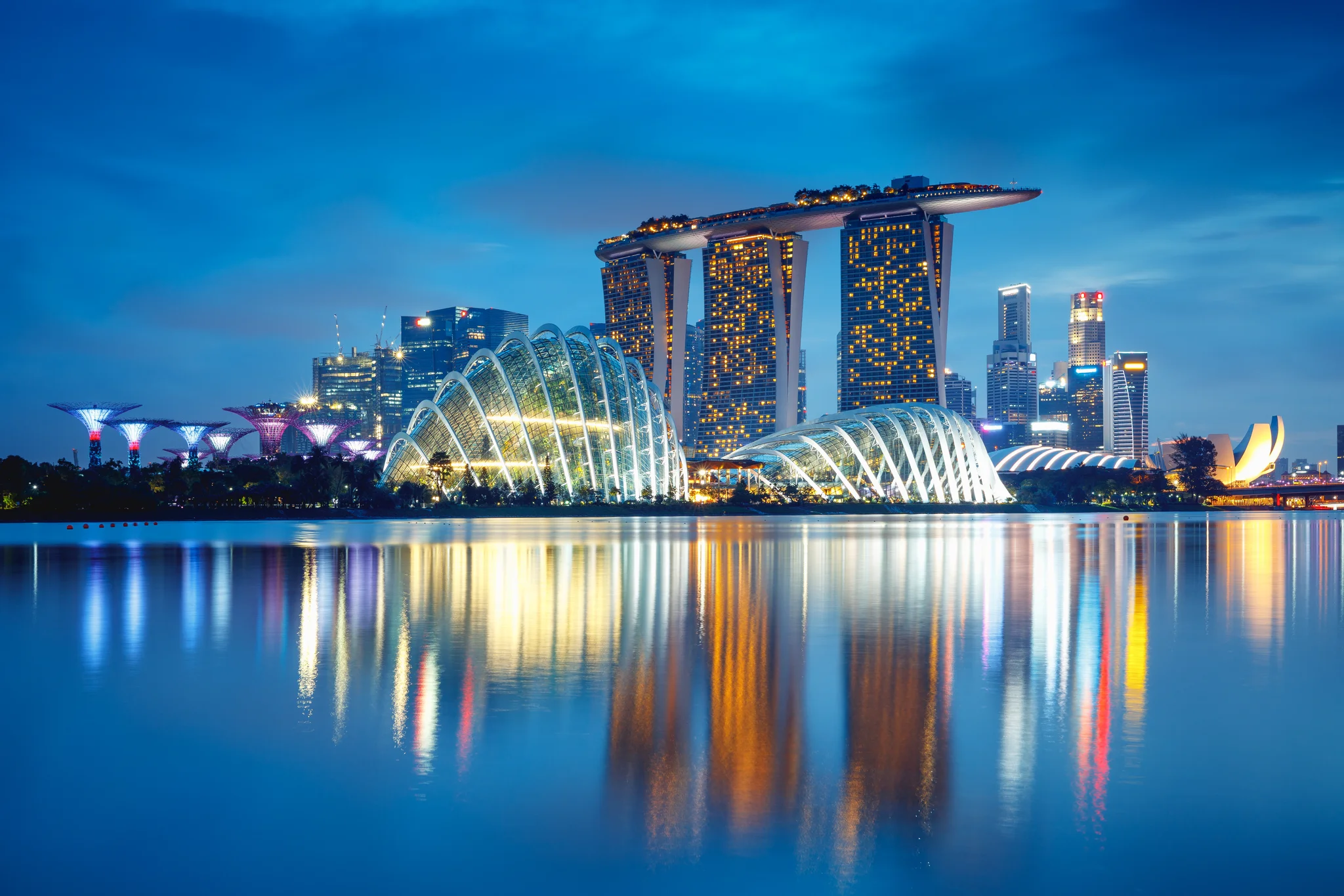 image for Experience Professional Services Across Dynamic Markets