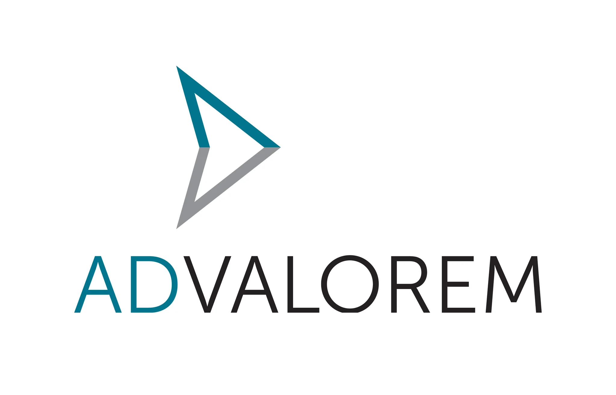 brand image for Ad Valorem Audit Services