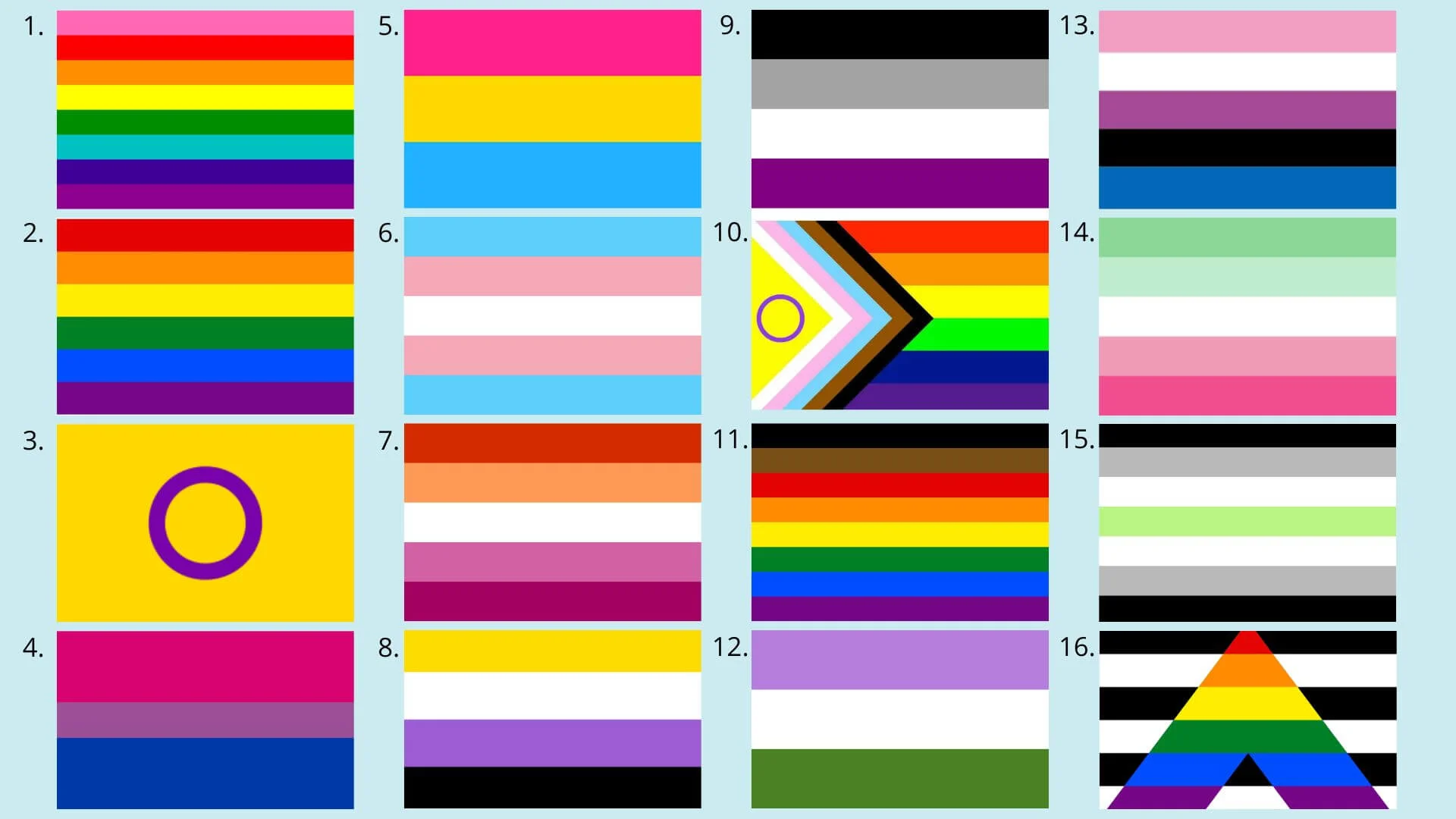 LGBTQIA+ Pride-Flags und ihre Bedeutungen