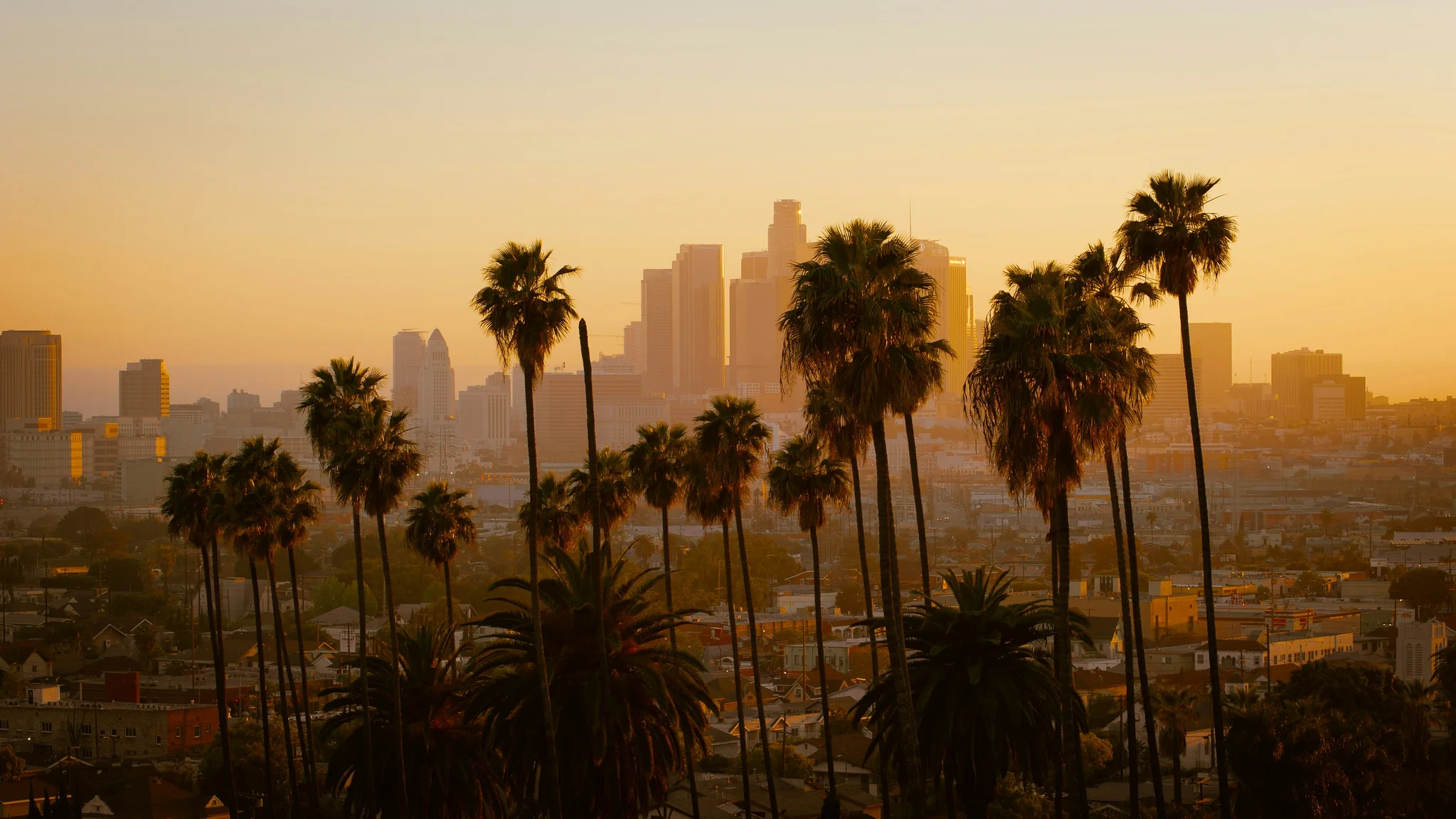 Photo from Unsplash
