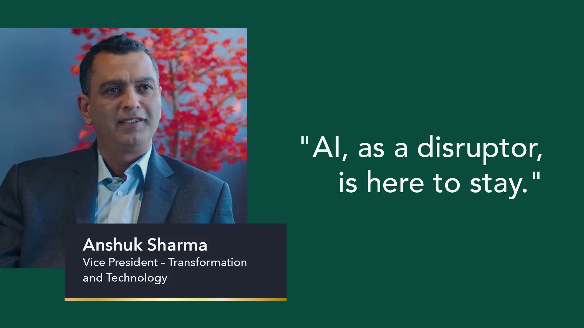Anshuk Sharma - AI: Executive Perspectives Part Two