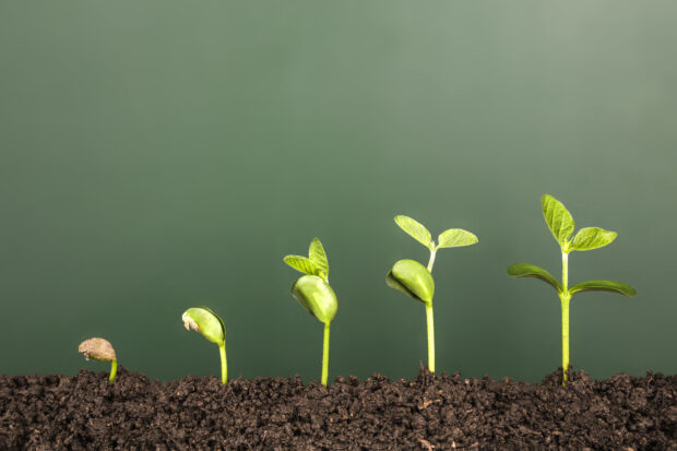 An Era of Transformative Leadership