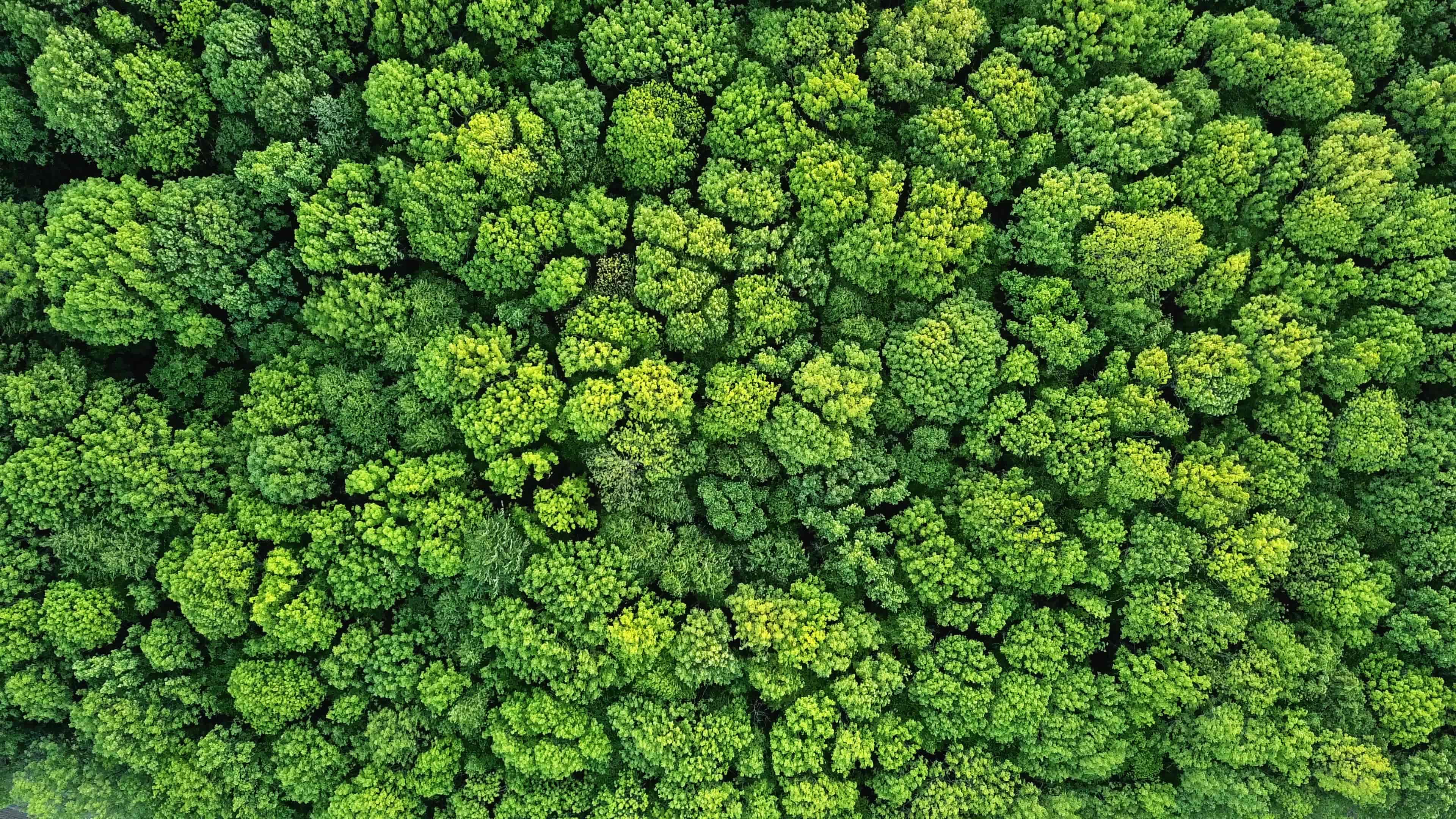 Strategic Sustainability: Overcoming Challenges and Building a Resilient Future