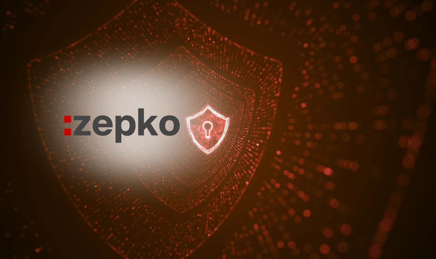 Zepko Case Study