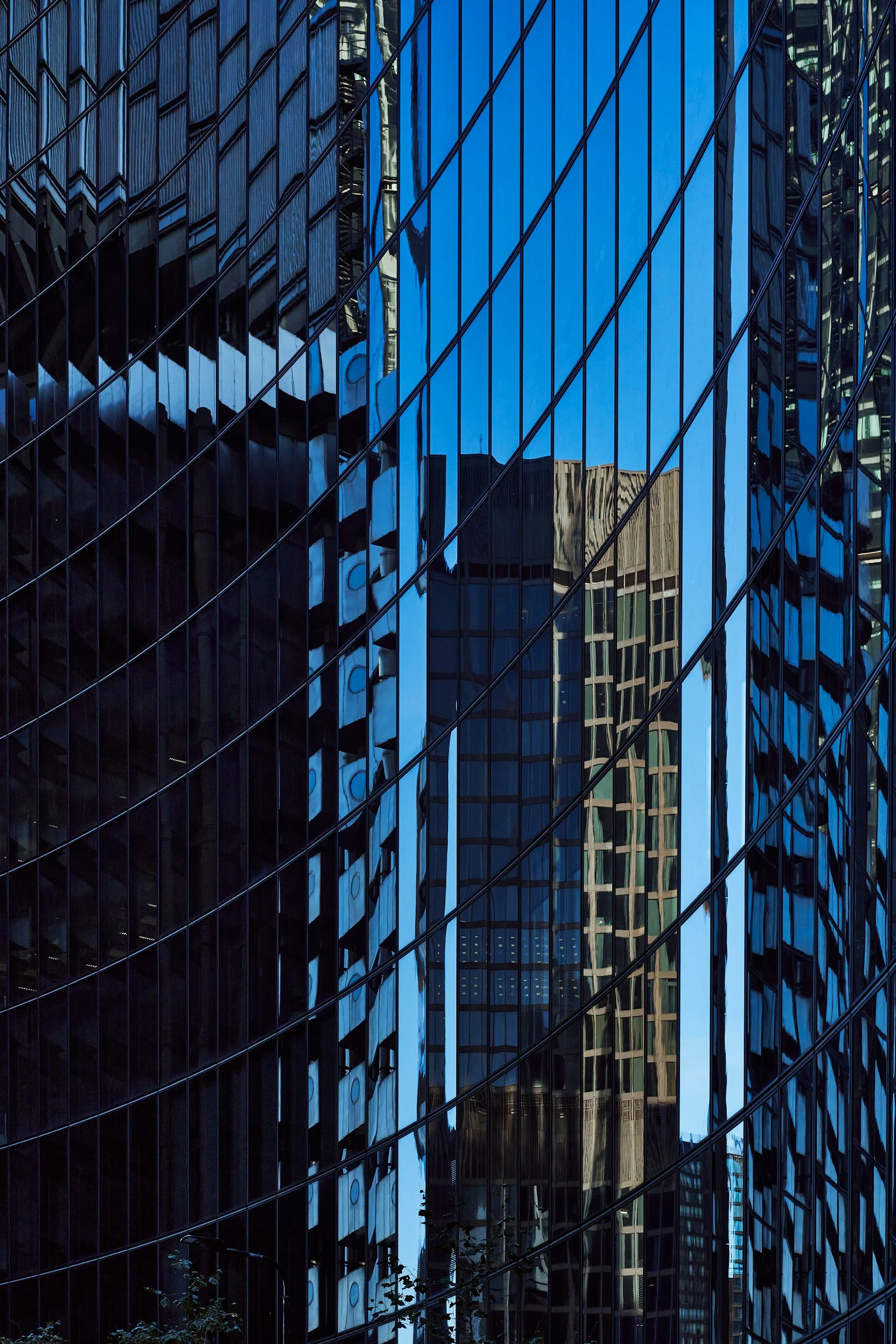 /a-view-of-skyscrapers-through-the-glass-windows-of-a-building-