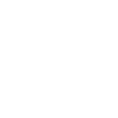 Computer & Control Systems