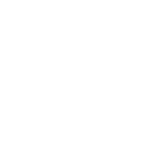 Project Management & PMO