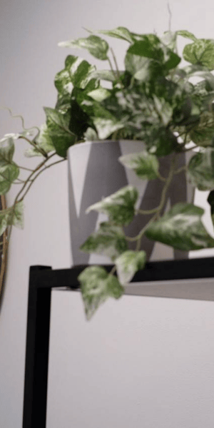 Integro Partners plant pot