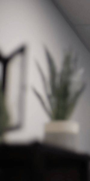 Integro partner office plant