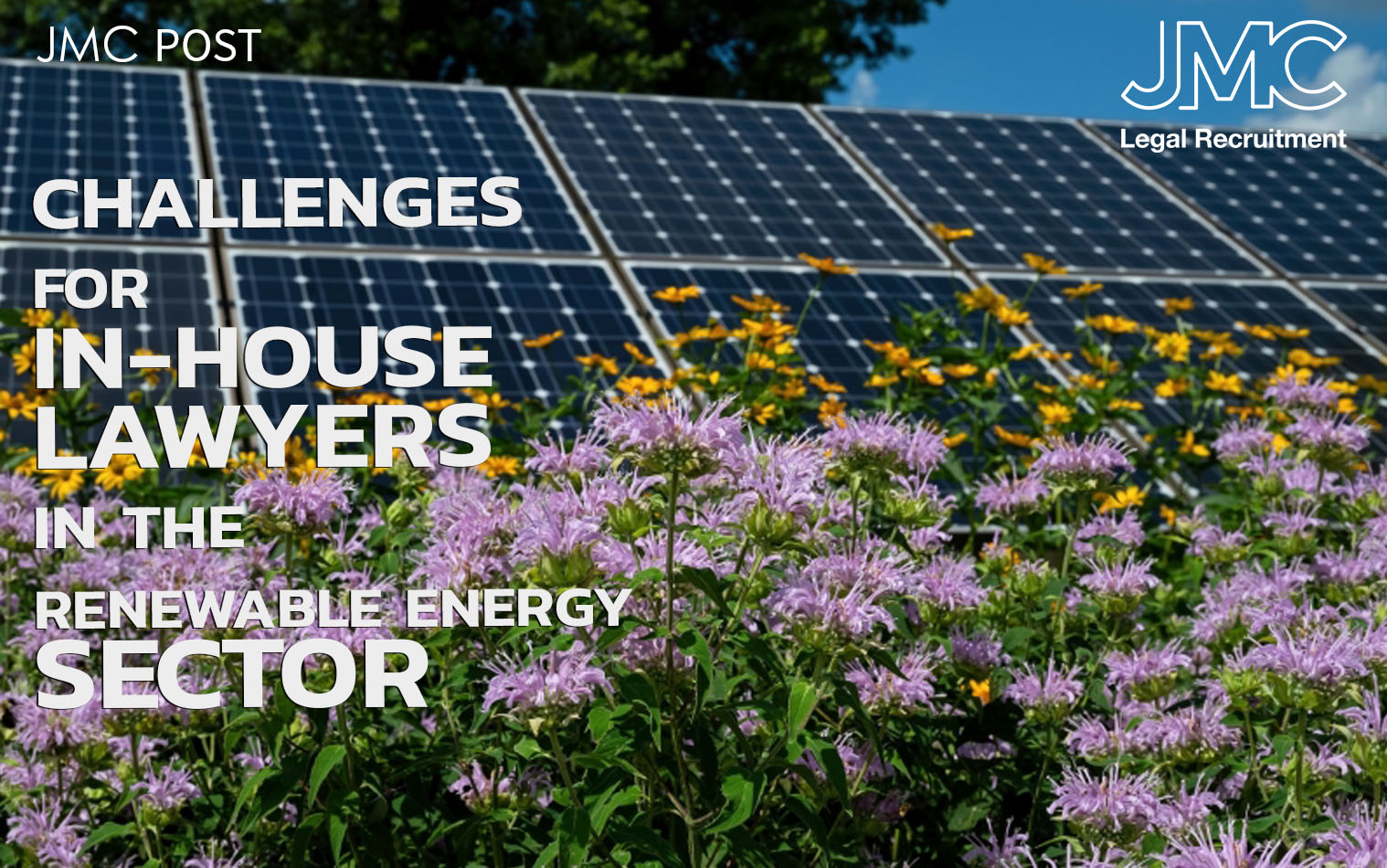 Challenges for In-House Lawyers in the Renewable Energy Sector