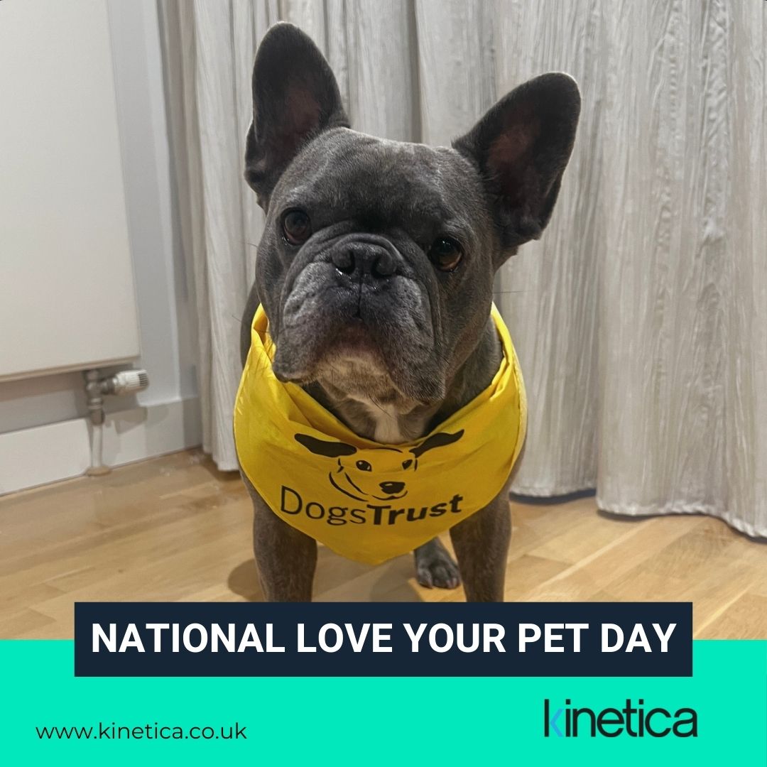 Dogs Trust Corporate Friendship: Love Your Pet Day