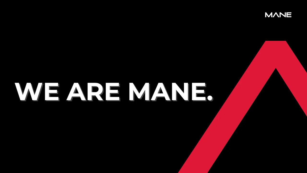 Meet Mane: Technical & Engineering Recruitment