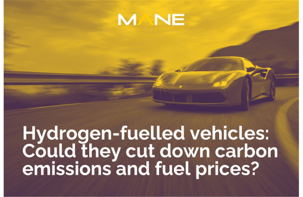 Hydrogen-fuelled vehicles: Could they cut down carbon emissions and fuel prices? 