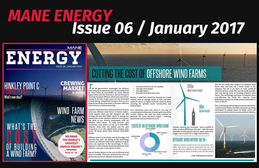 Mane Energy Magazine Issue 6 - January 2017