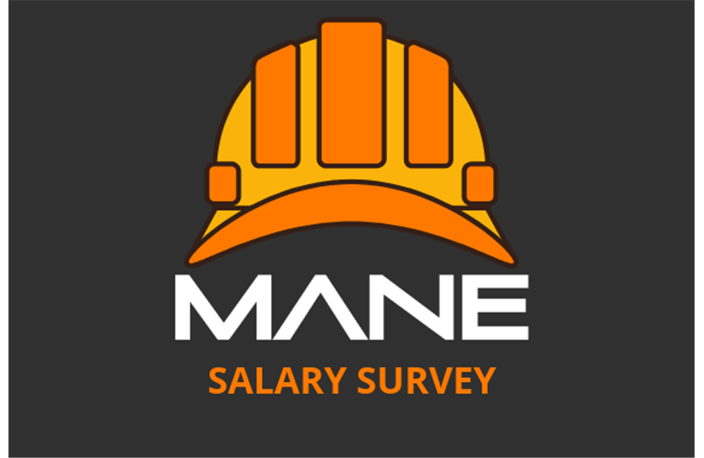 Mane Salary Survey