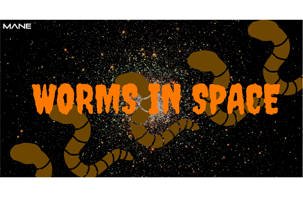 Worms in Space