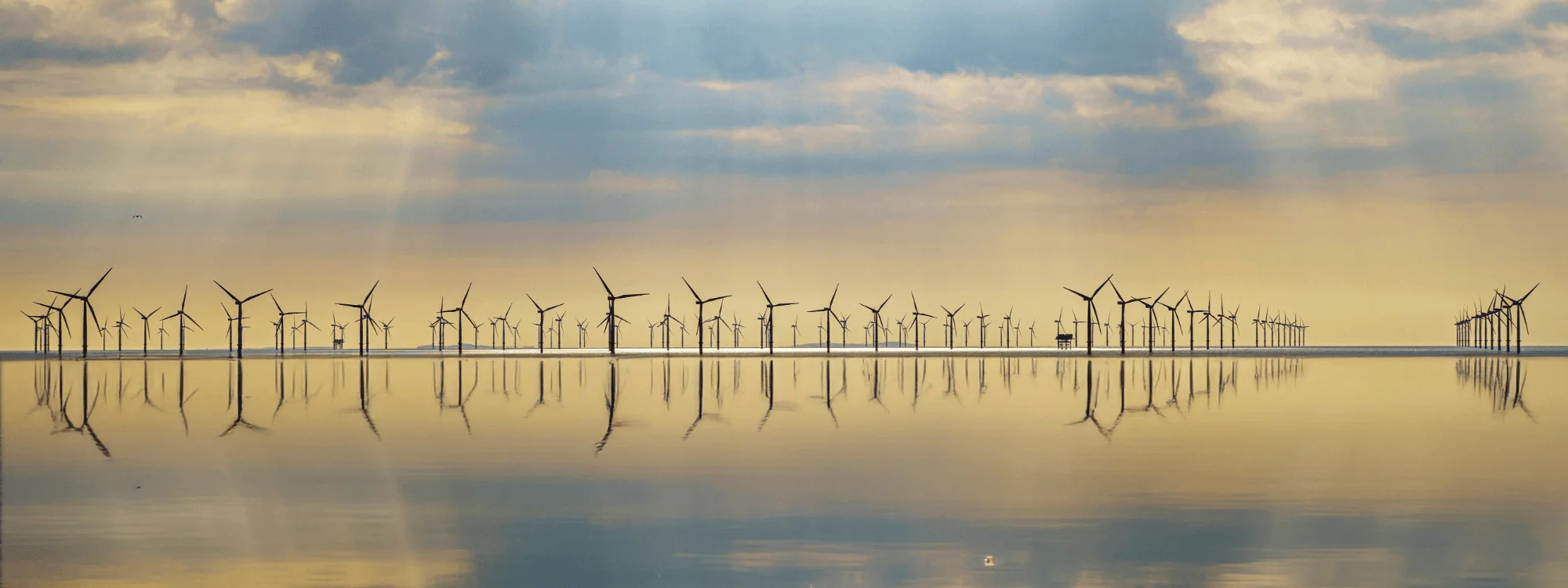 Supplier Performance & Rate Benchmark – Renewables