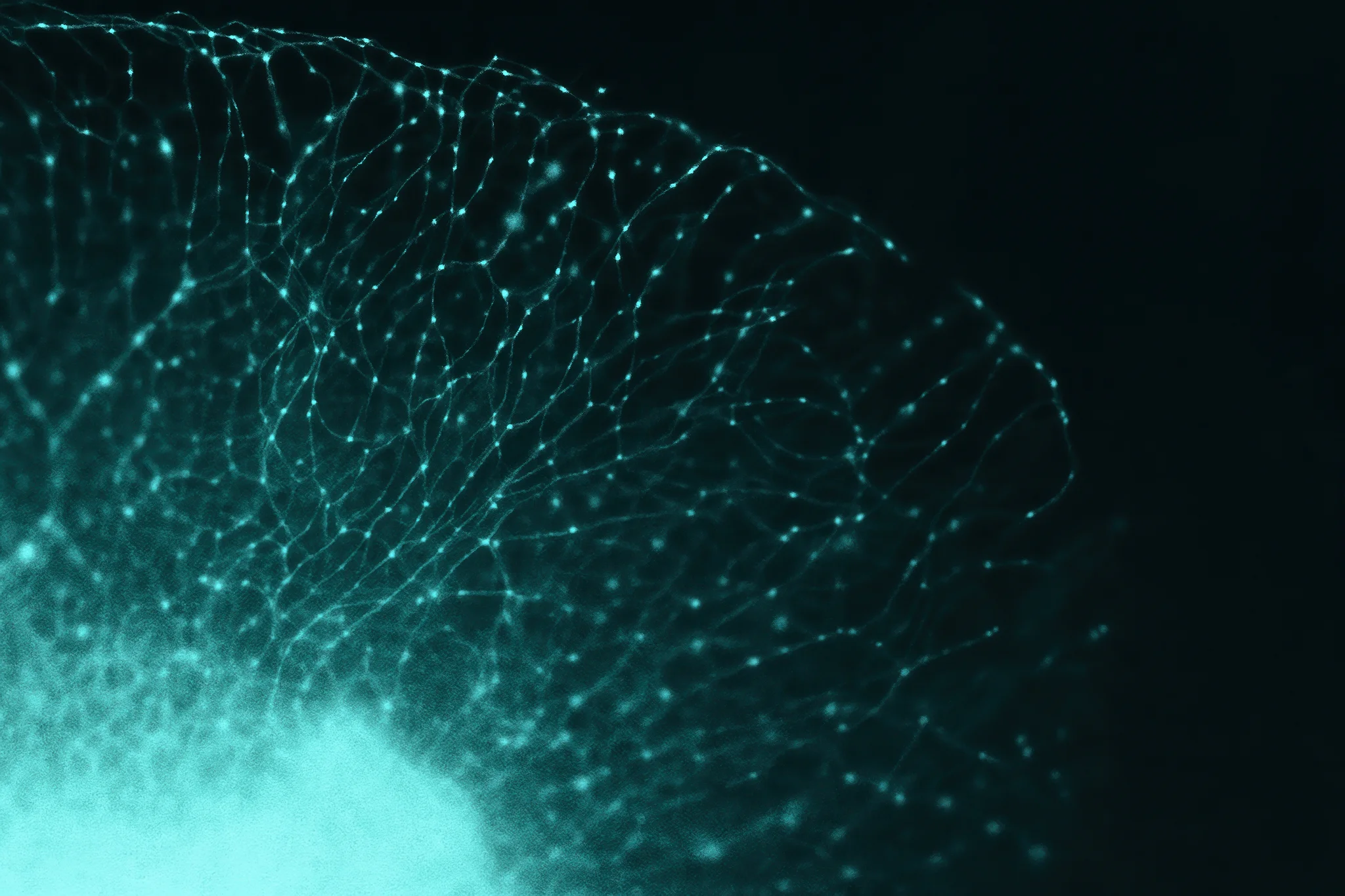 Microscopic view of delicate glowing cell network with fine connections on dark background, illustrating minuscule world beauty, biological structures and intricate organic patterns in teal tones.