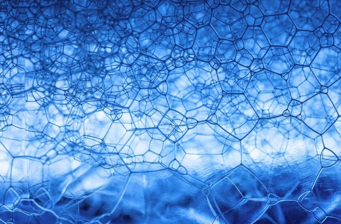 Elixir Medical: A medical devices company creating next-generation treatments for heart and vascular diseases 