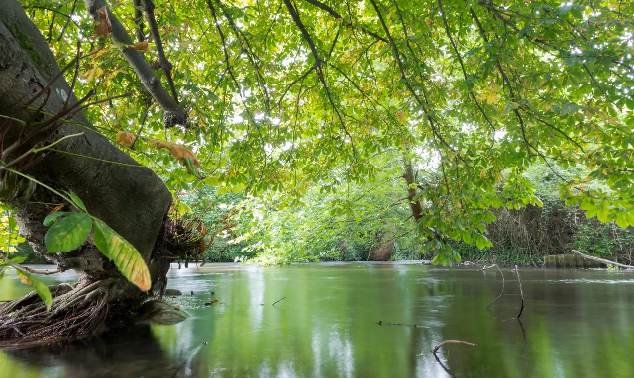 River Itchen in Eastleigh, Hampshire