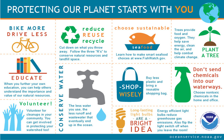 ten simple things you can do to help protect the earth
