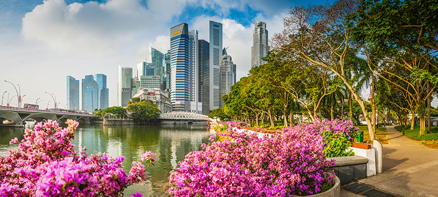 Singapore Office