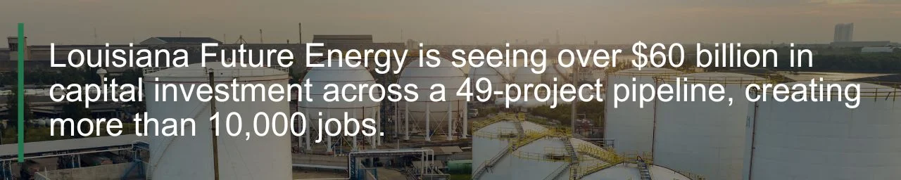 Louisiana Future Energy project quote