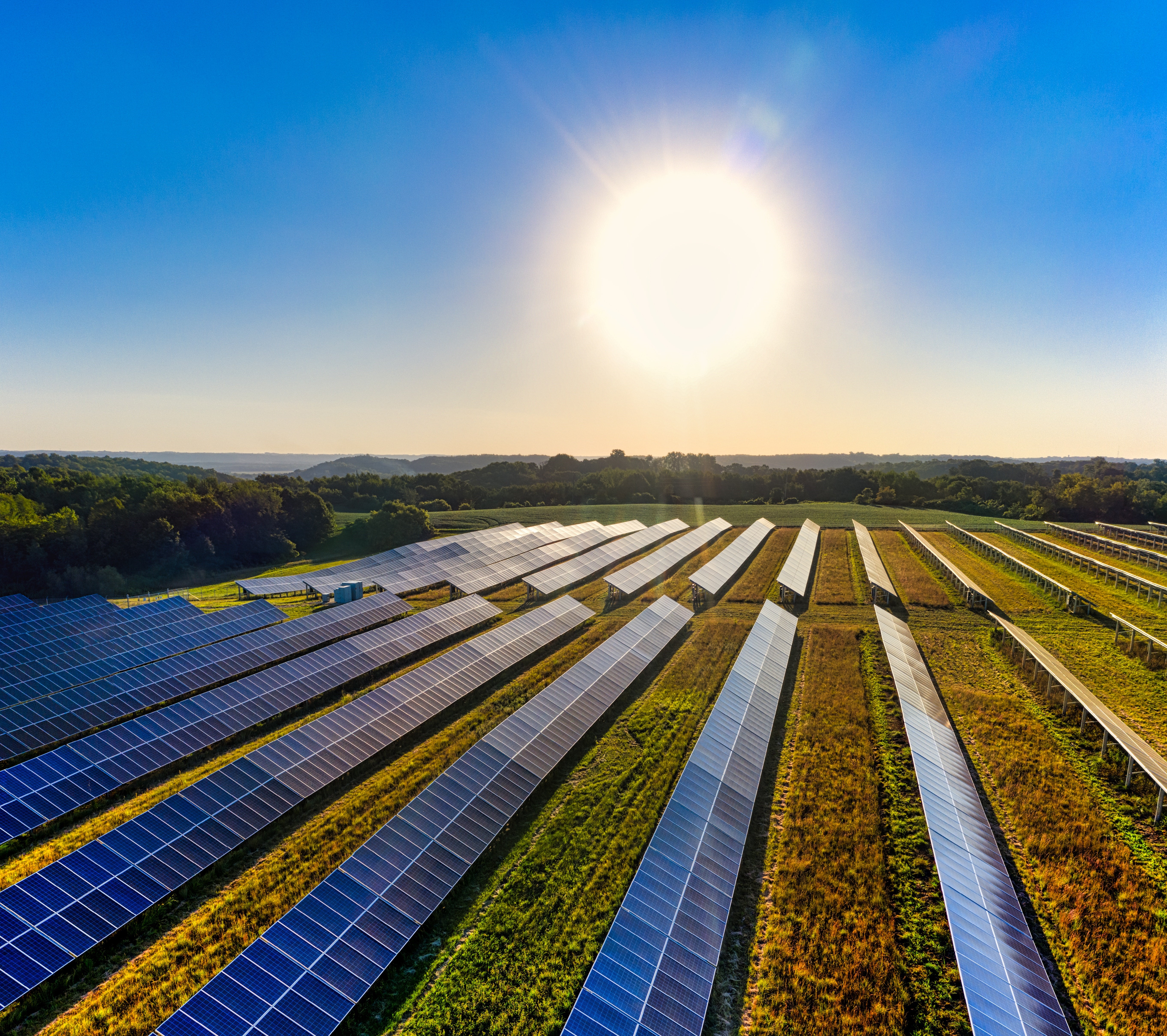 Field with solar panels 