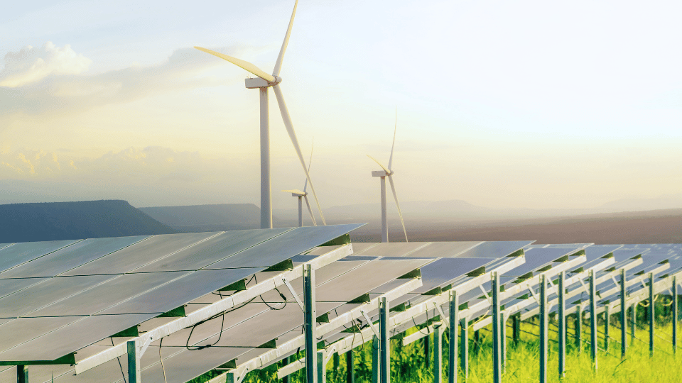Why the Green Energy Transition Needs Overseas Recruitment