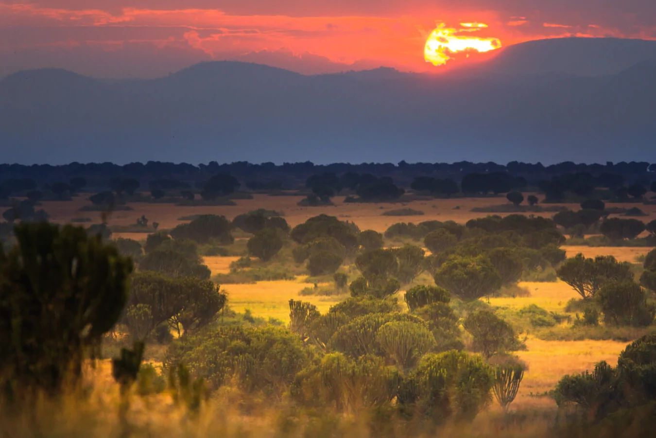 uganda wild lands