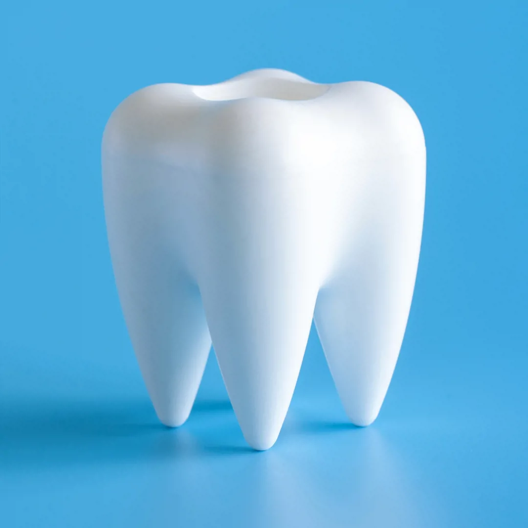 Large tooth representing a dental practice