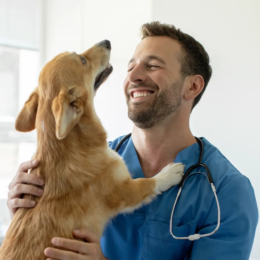 Vet holding a dog