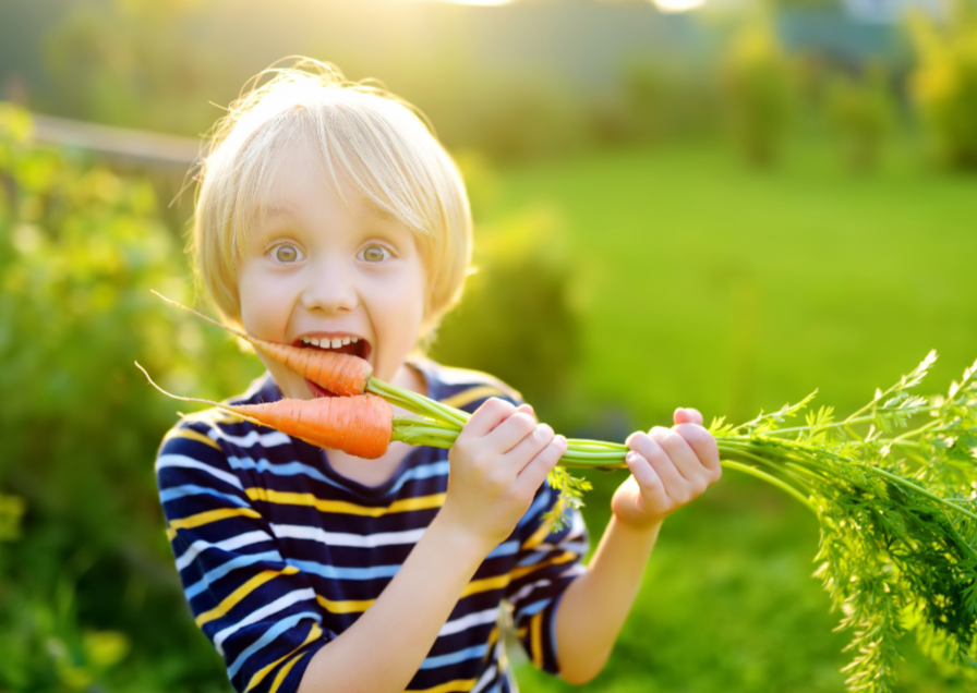 Boy Eating Carrots