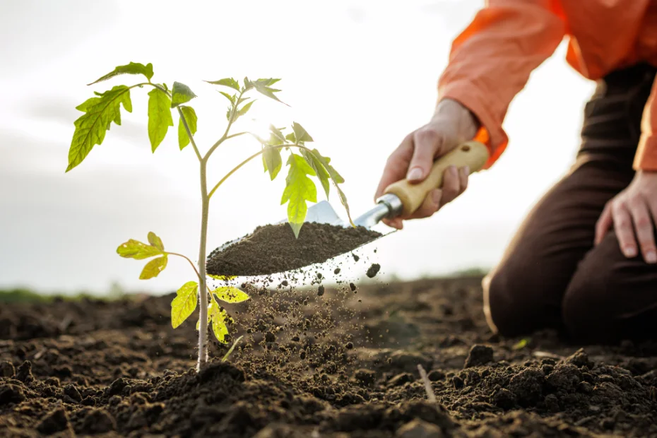 Carbon emission reduction plan with Enistic