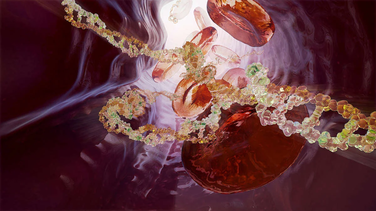 placeholder-image-two